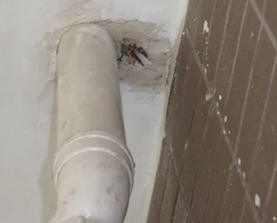 四平漏水检测哪家好